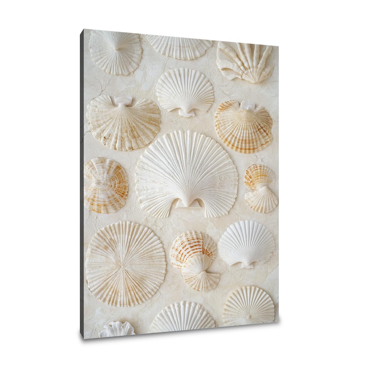 Seashell Serenity Canvas