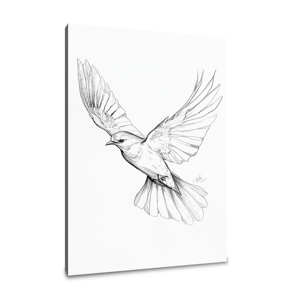 Soaring Bird Canvas