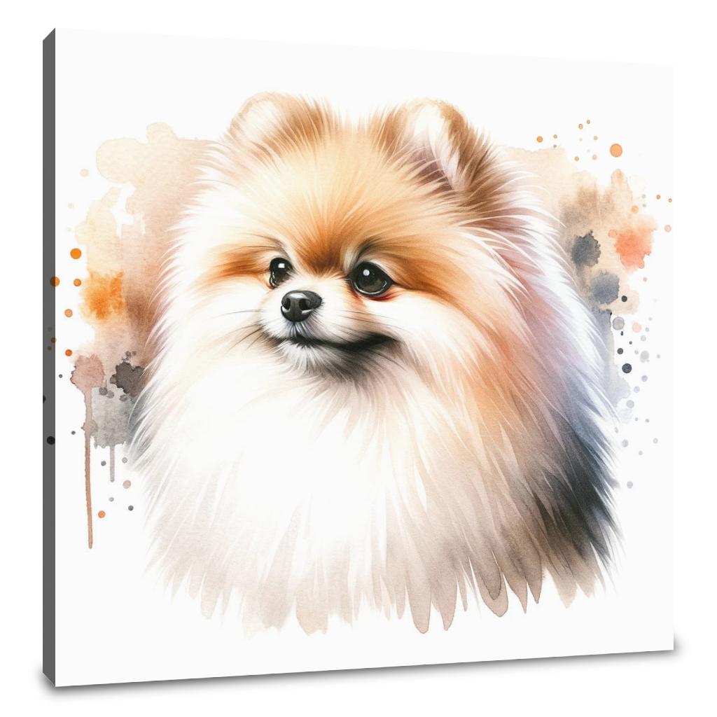 Pomeranian Elegance Canvas