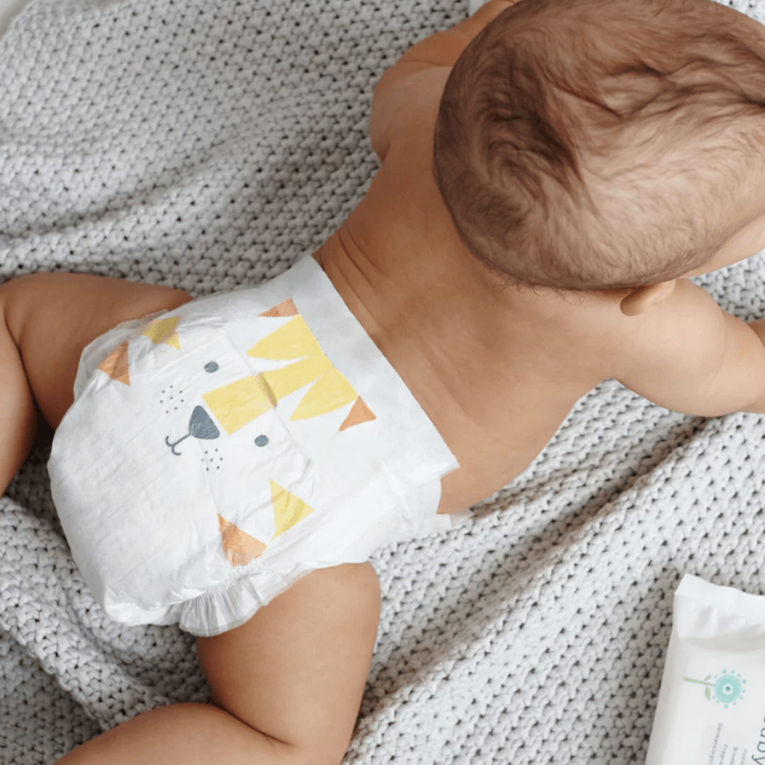 Kit & Kin Hypoallergenic Nappies