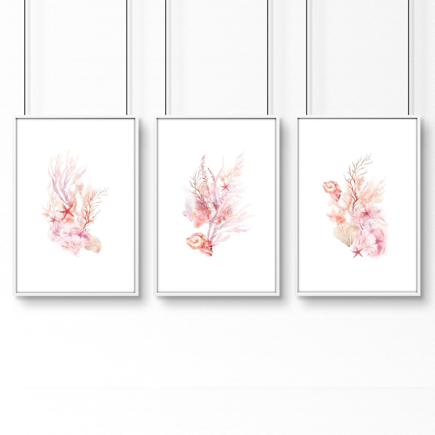 Large Coastal Wall Art | Set of 3 Seashells Wall art Prints
