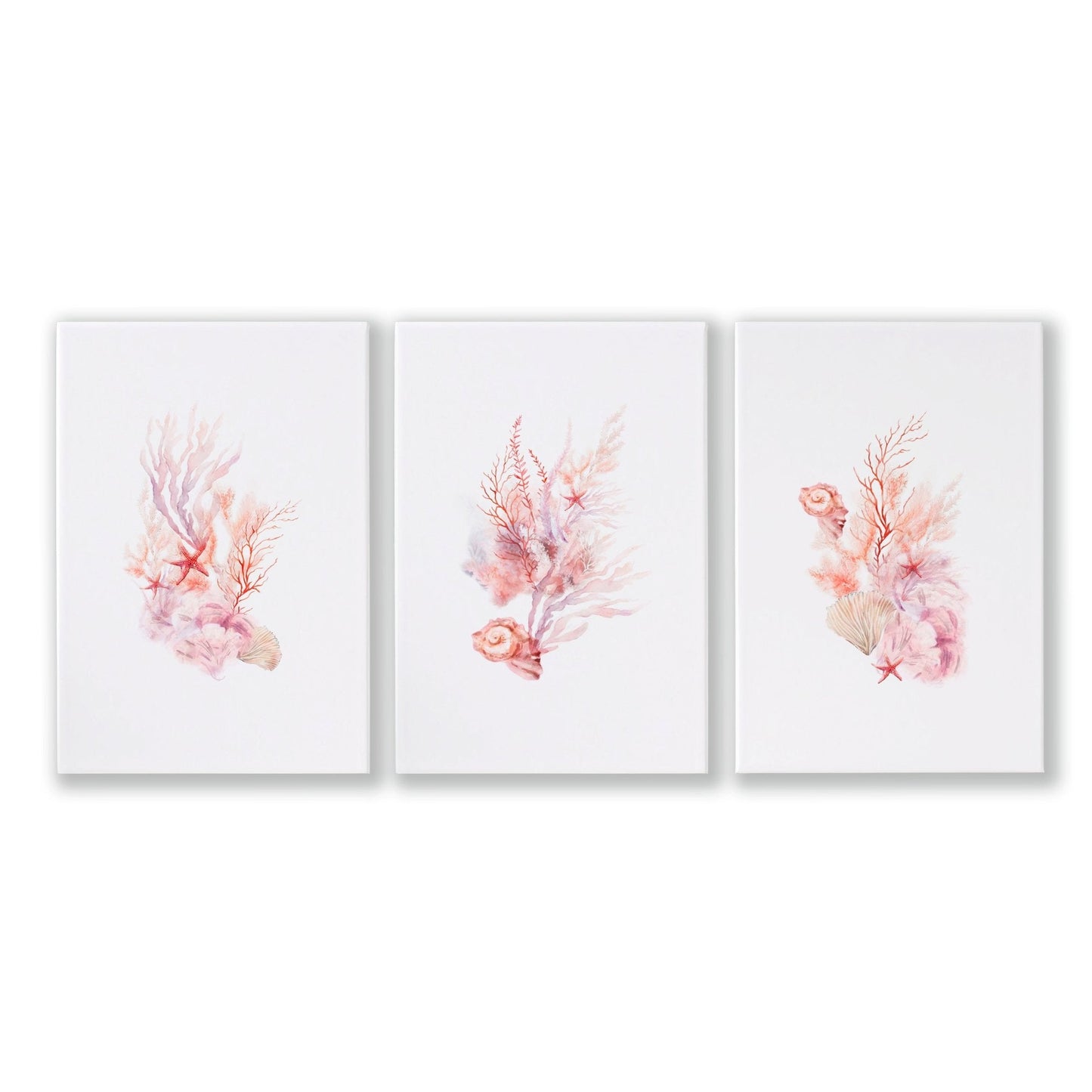 Large Coastal Wall Art | Set of 3 Seashells Wall art Prints