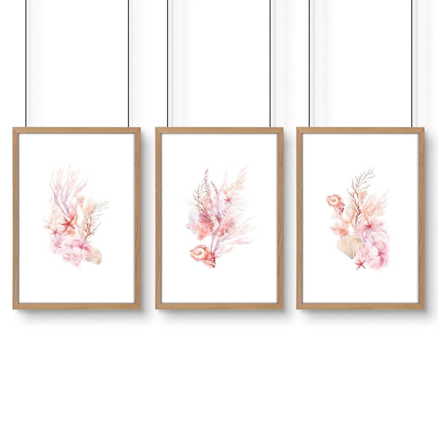 Large Coastal Wall Art | Set of 3 Seashells Wall art Prints