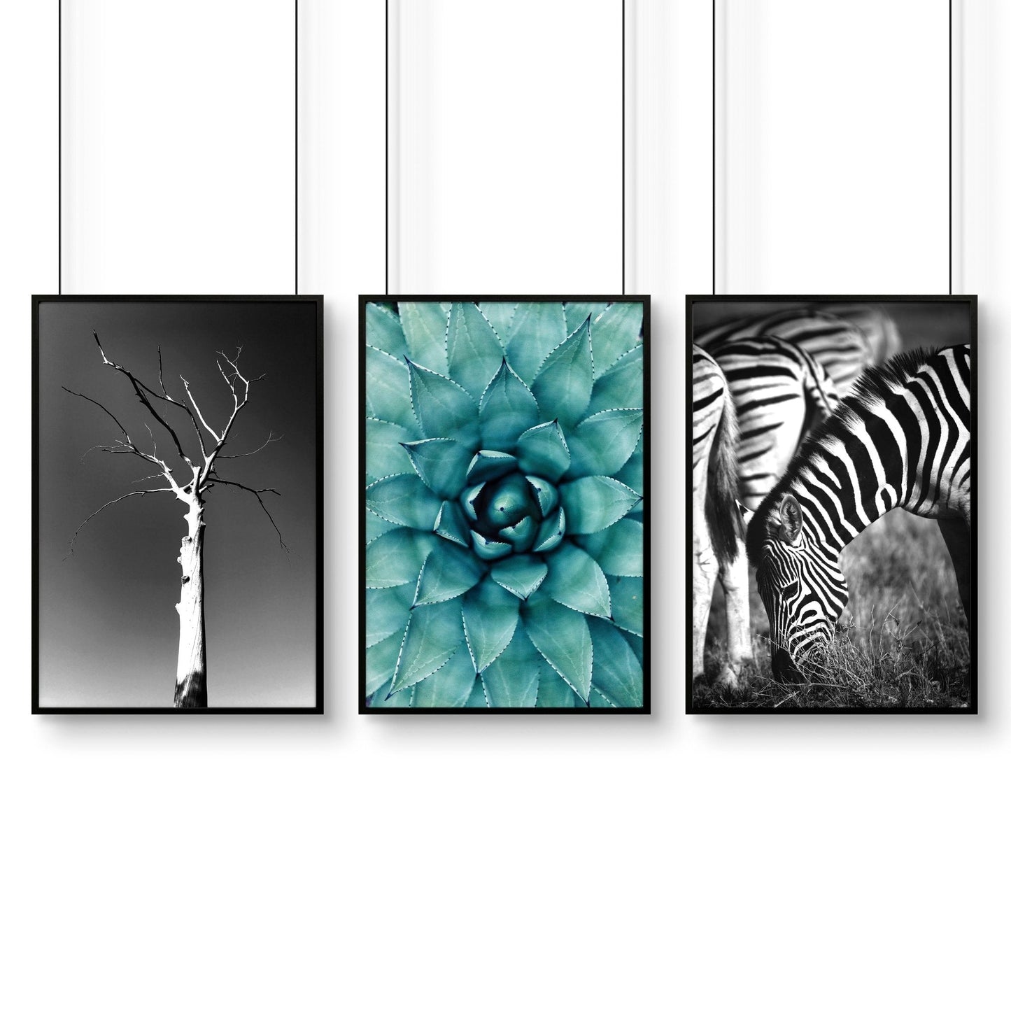 Large Picture Living Room | Set of 3 African Wildlife Wall art Prints