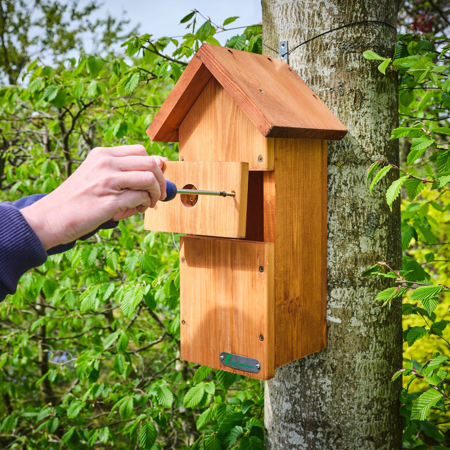 WiFi Bird Box HD Camera Starter Pack