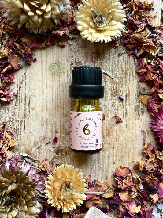 Lavender Organic Essential Oils UK