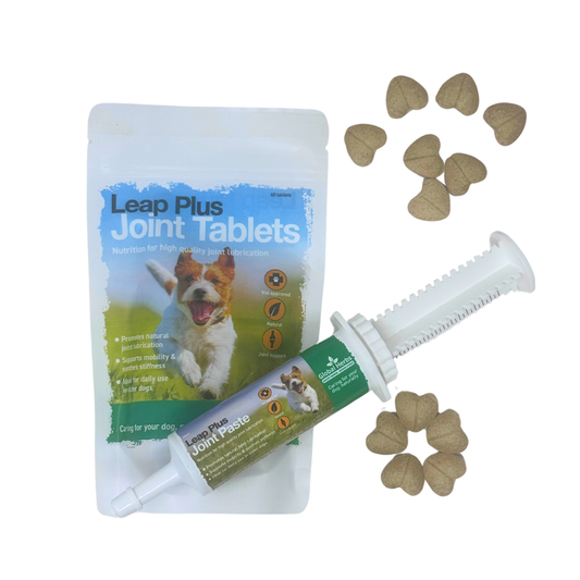 Leap Plus Joint paste 60ml - Global Herbs  - Canine
