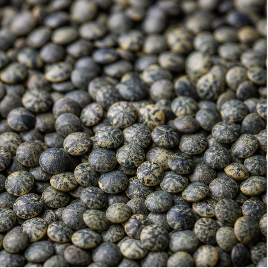 Infinity Foods Organic French Type Lentils