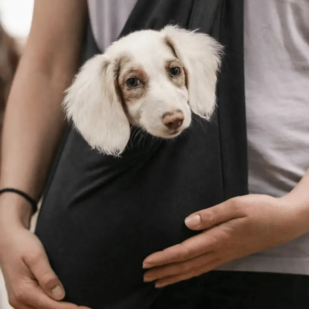 Standard Size Lite Sweatshirt Dog Sling Carrier - Ready to Ship
