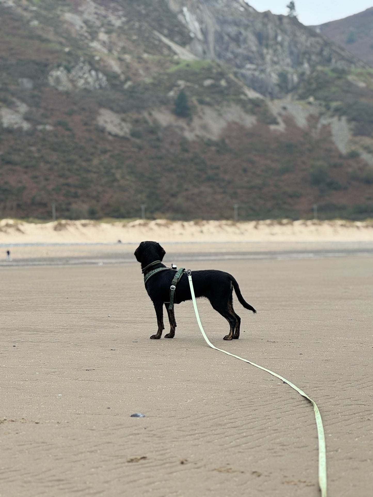 Waterproof 10m Longline Lead | Fido’s Trails – Durable, Lightweight, Ideal for Dog Training and Outdoor Adventures