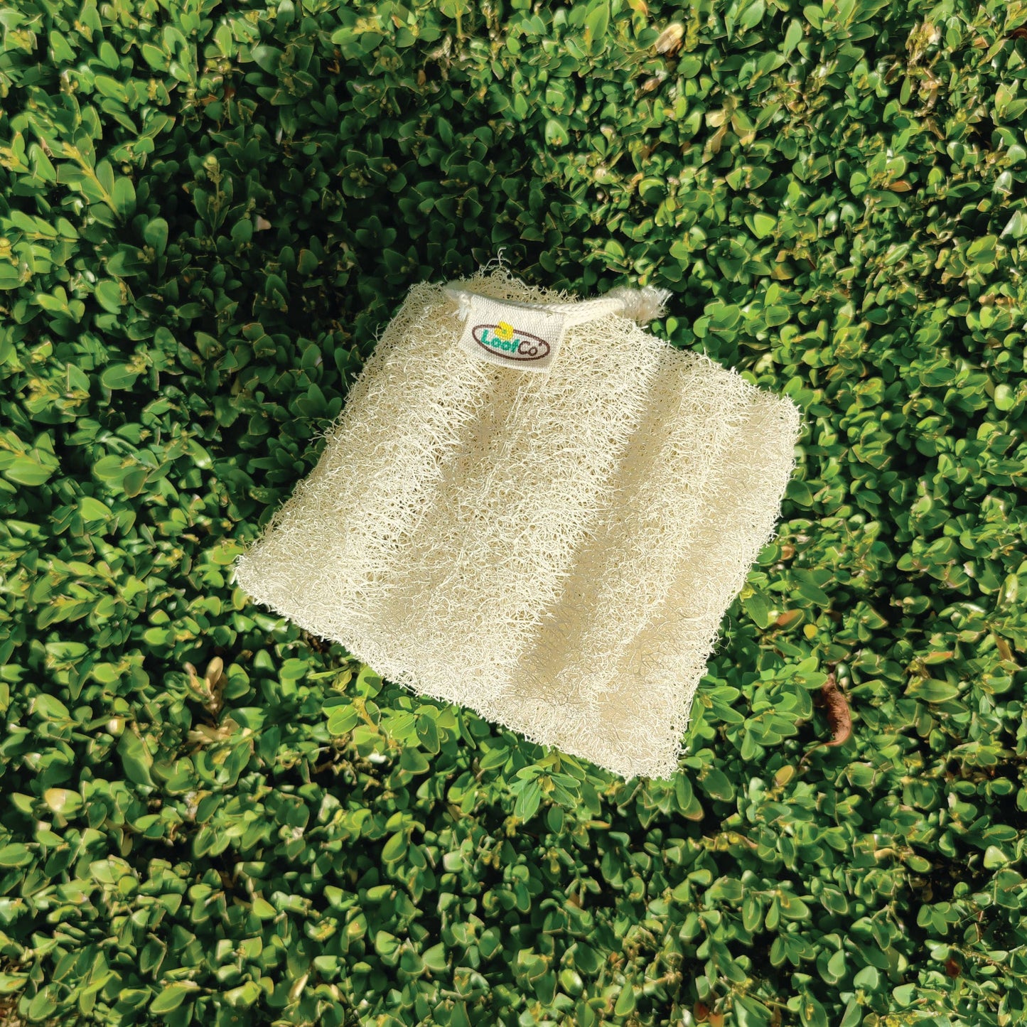 Loofah Body Sponge