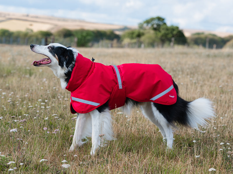 Luxe Waterproof Dog Coat 0g - Red