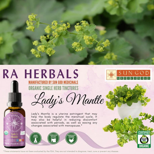 Organic Lady's Mantle Tincture - MENOPAUSE AND MENTRUAL RELIEF