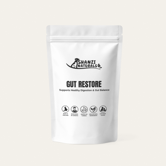 Gut Restore for Dogs & Cats – Support for Healthy Digestion & Gut Balance