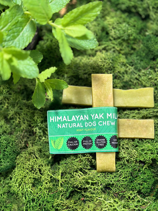 Floppy Ear Mint Yak Dog Chew