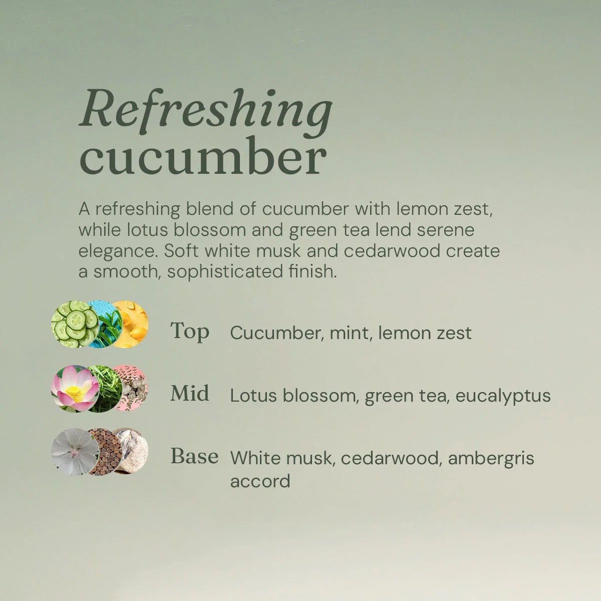 Calming Cucumber Hand Soap – 5L Refill Gel Cleanser