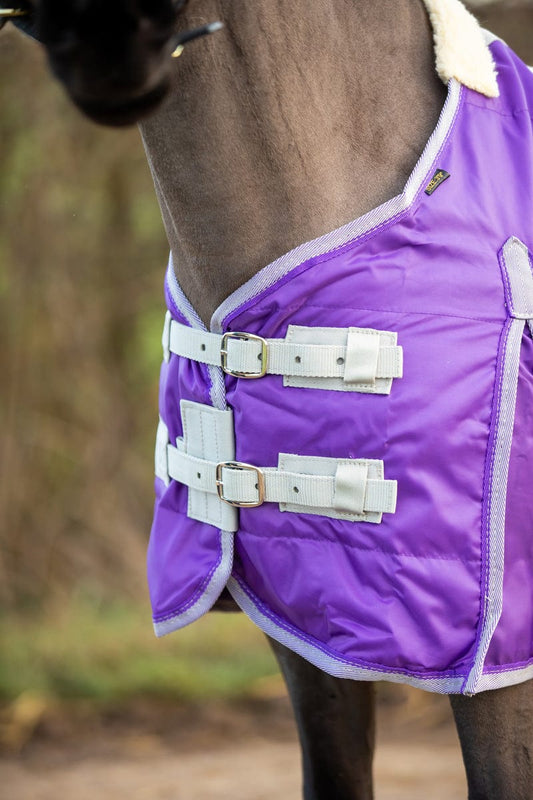 Mini 100g Stable Rug - Purple