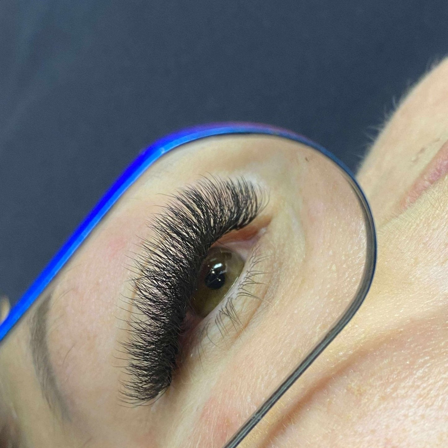 8D Clover Lash Sample Tray – 5 Rows