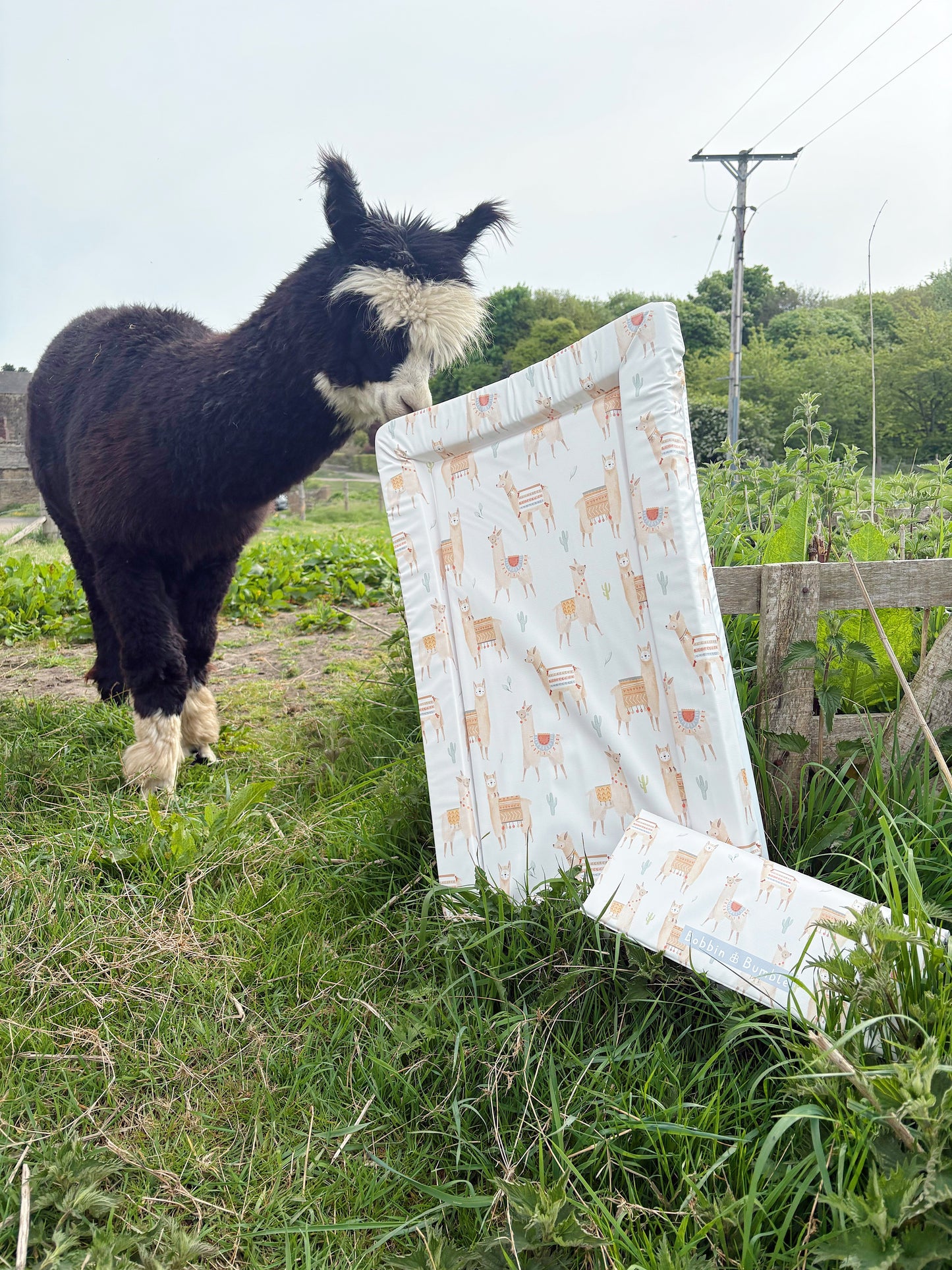Travel Changing Mat - Alpacas