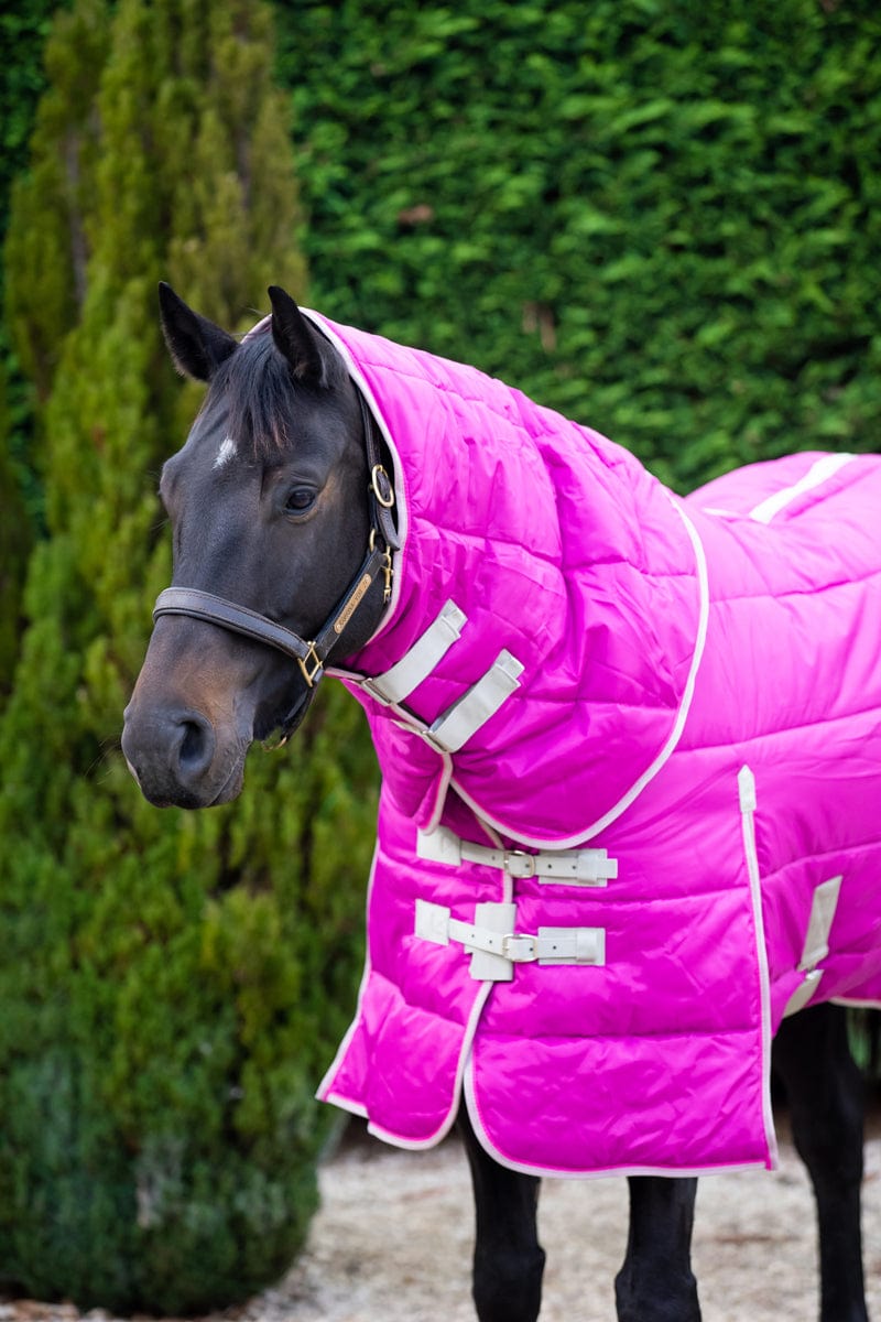 450g Stable Rug With Detachable Neck - Mulberry