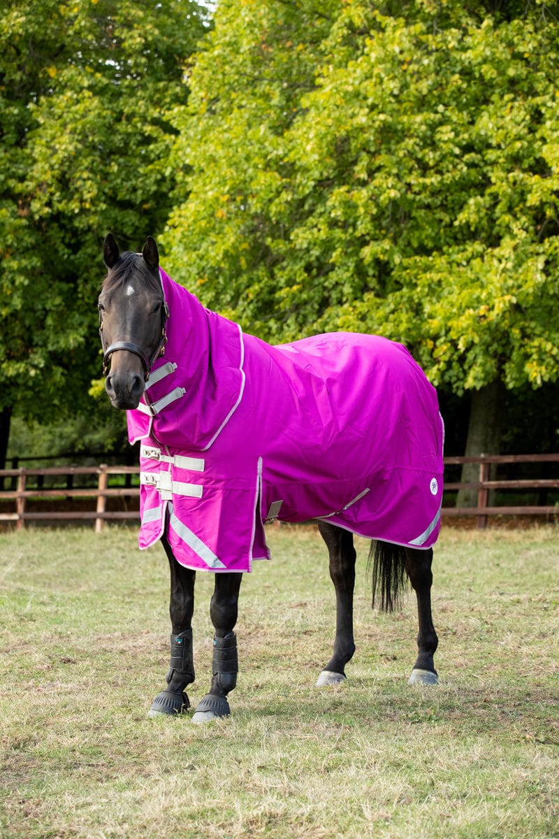 100g Detachable Neck Turnout Rug - Mulberry