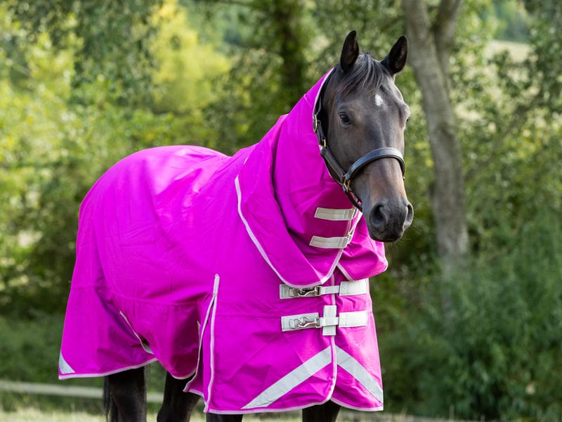 50g Detachable Neck Turnout Rug - Mulberry