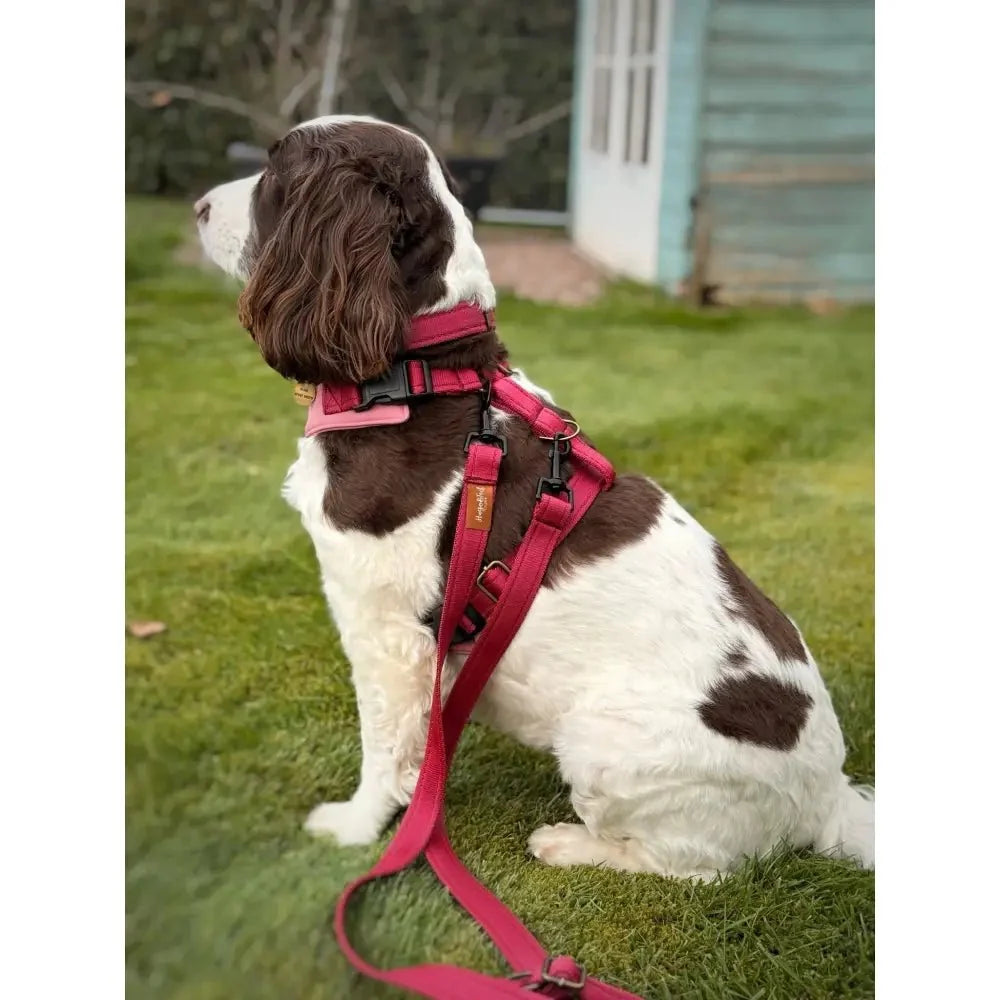 Multi-Way Waterproof Dog Lead - Cross-Body, Hands Free