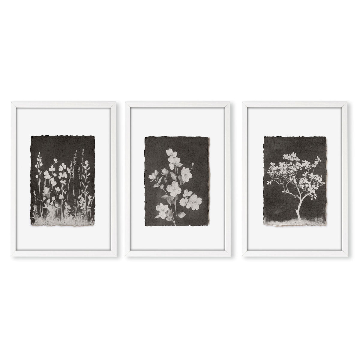 Nature Art Dark Botanical Wildflowers & Blossom Wall Art Prints | Set of 3