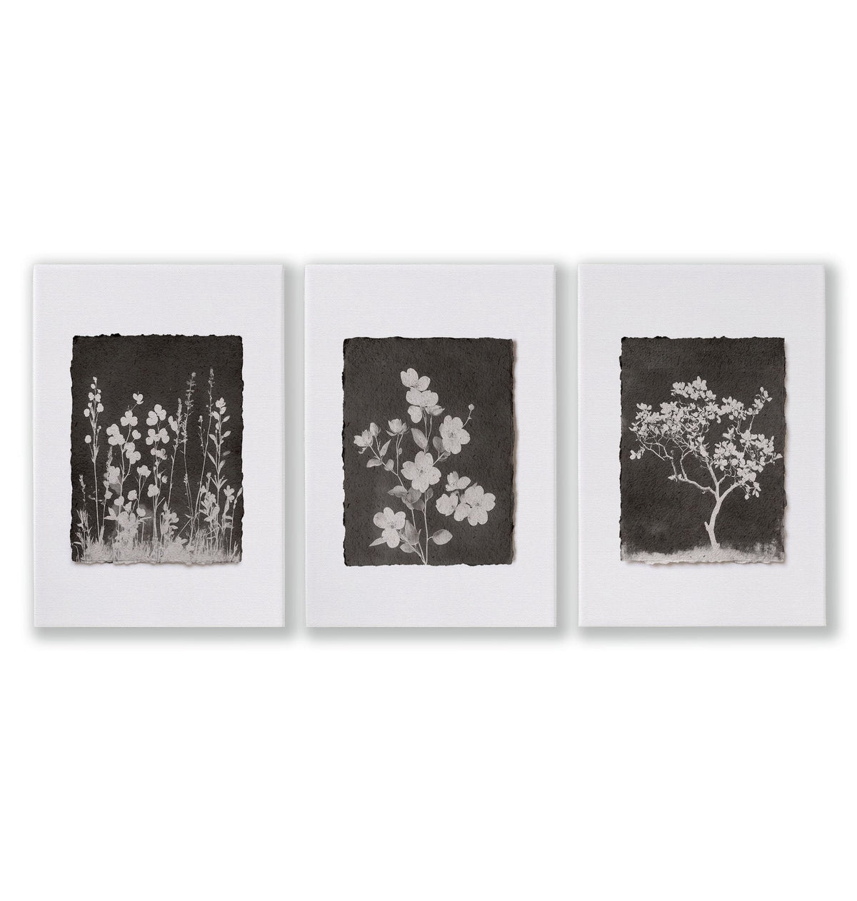 Nature Art Dark Botanical Wildflowers & Blossom Wall Art Prints | Set of 3