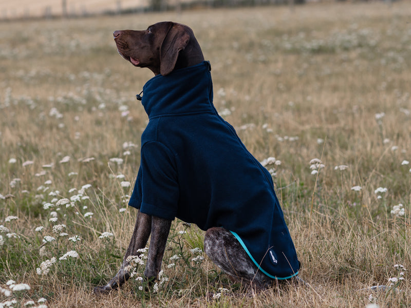 WIDE FIT Fleece Dog Jumper - Navy