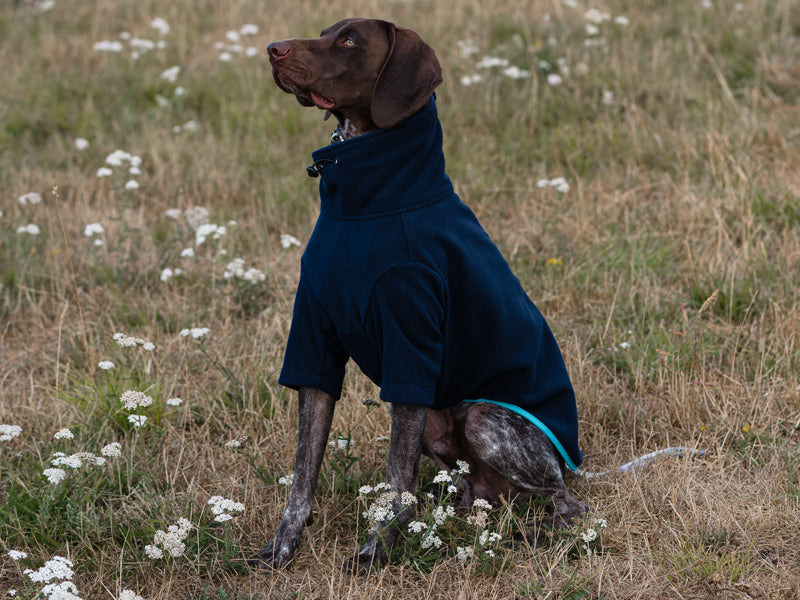 WIDE FIT Fleece Dog Jumper - Navy