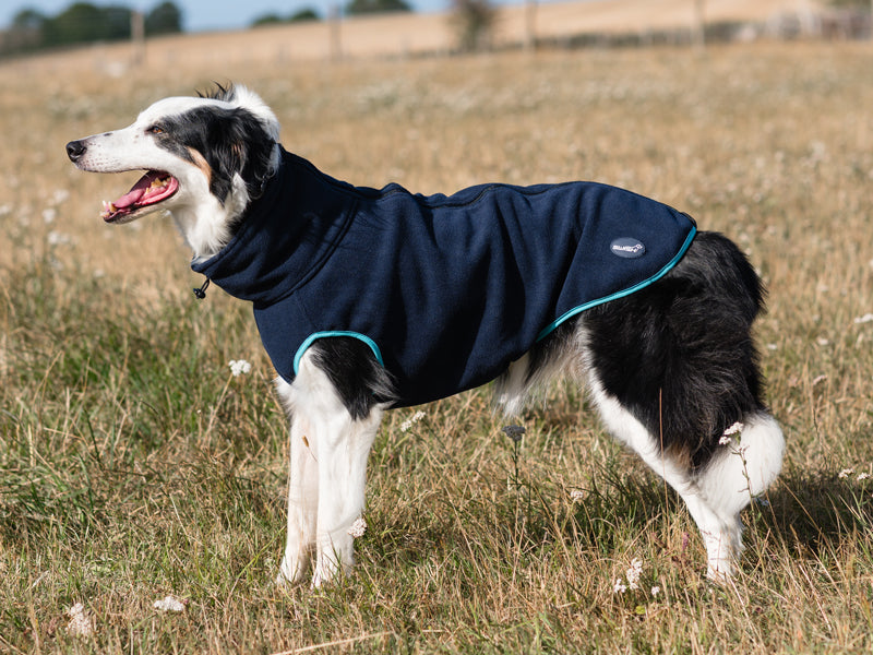 Fleece Dog Coat - Navy