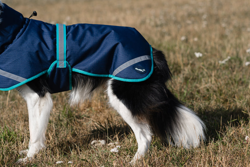 Luxe Waterproof Dog Coat 0g - Navy