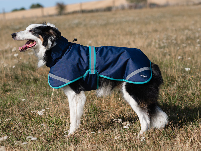 Luxe Waterproof Dog Coat 0g - Navy