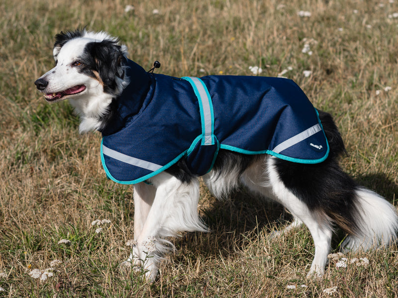 Luxe Waterproof Dog Coat 0g - Navy
