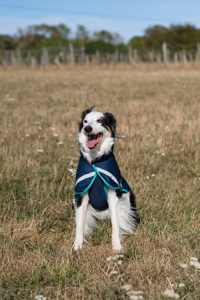 Luxe Waterproof Dog Coat 0g - Navy