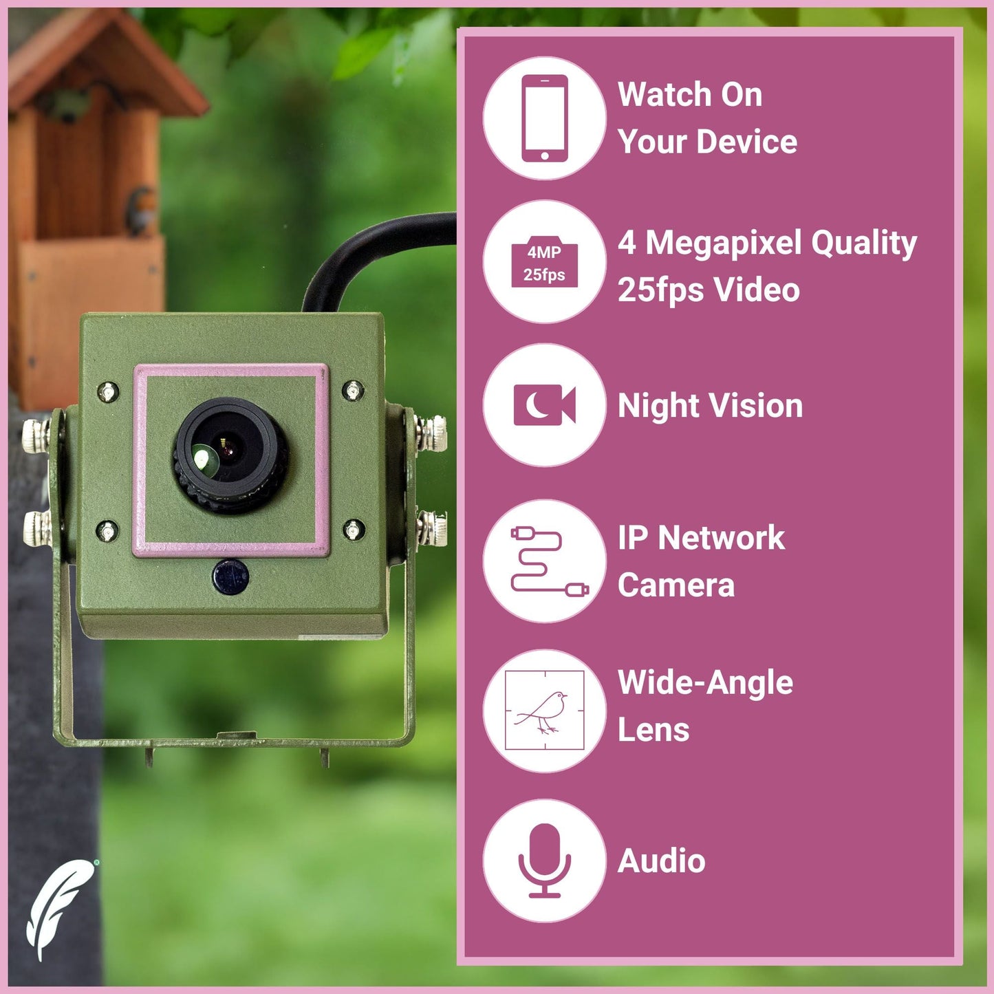 4MP Wired Network Camera for Birdbox & Wildlife Habitats (25fps) PoE Version