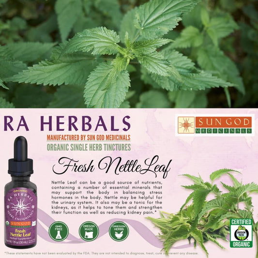 Organic Fresh Nettle Leaf Tincture - ANTIHISTAMINE, ALOPECIA, KIDNEY HEALTH, ANTI-INFLAMMATORY