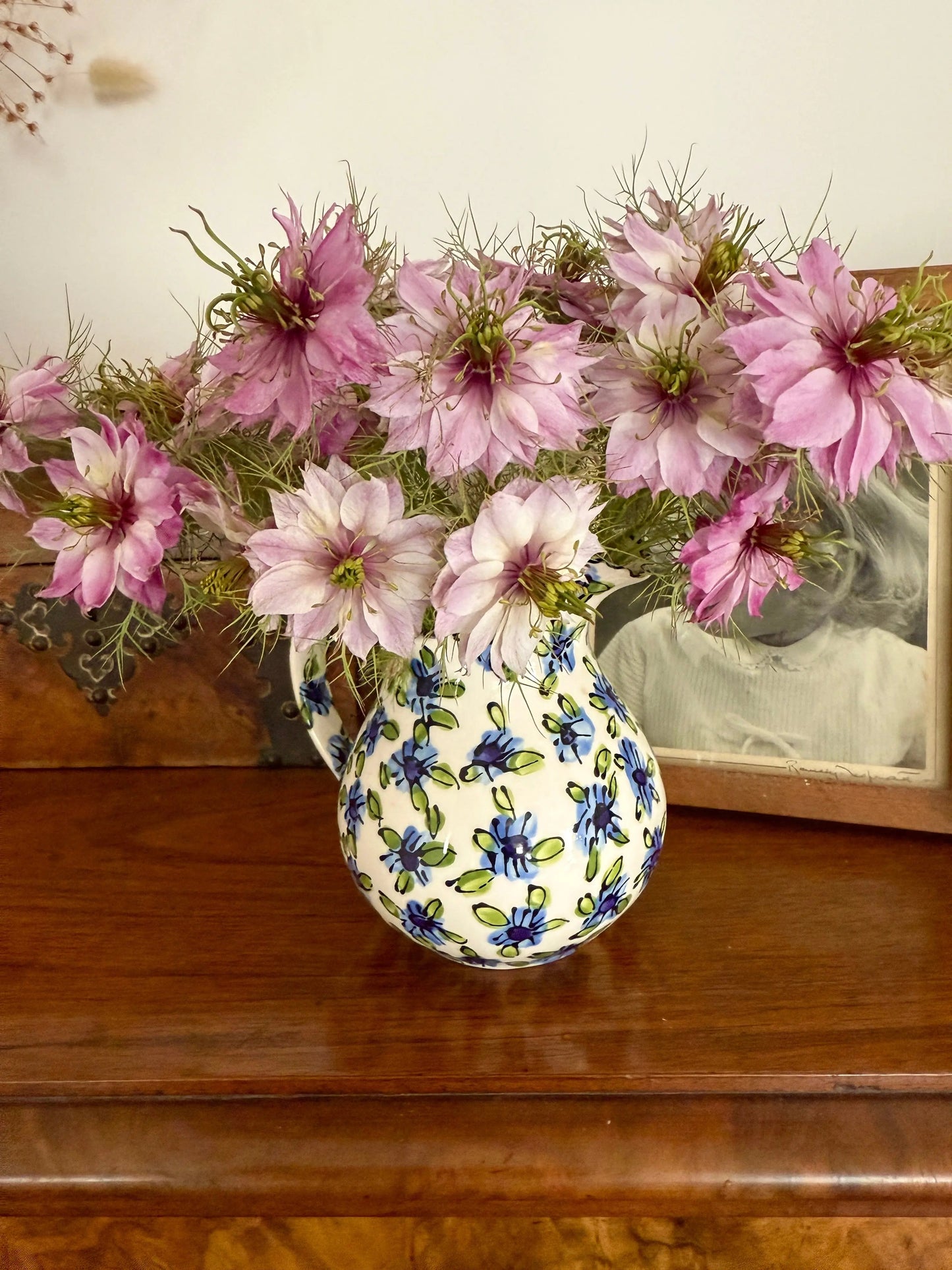 Nigella Mulberry Rose (Love-in-a-mist)