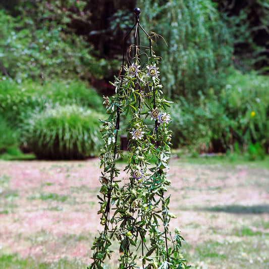 PoppyForge Classic Climbing Column