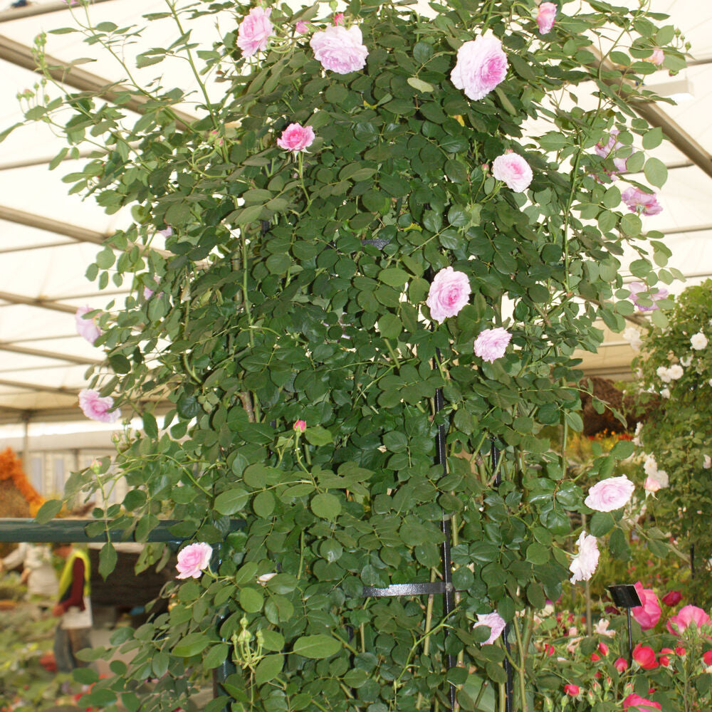 PoppyForge Traditional Tower