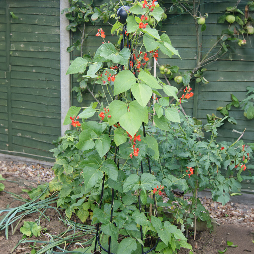 PoppyForge Hampton Obelisk