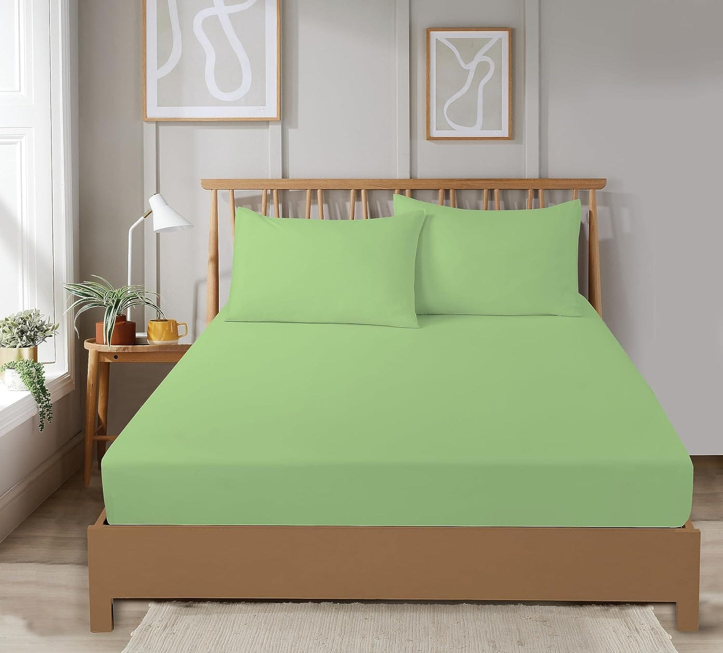 Plain Dye Luxurious Super Soft Fitted Sheets Easy Care Bed Linen Sets Multiple Colours Single Double King 3/4 Sizes by OLIVIA ROCCO
