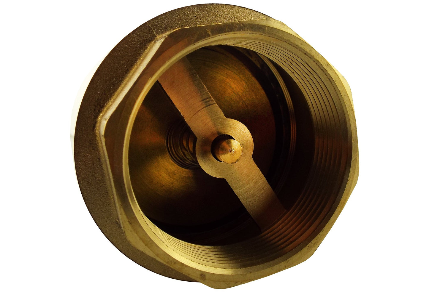 Brass Spring Check Valve 1.5" BSPF