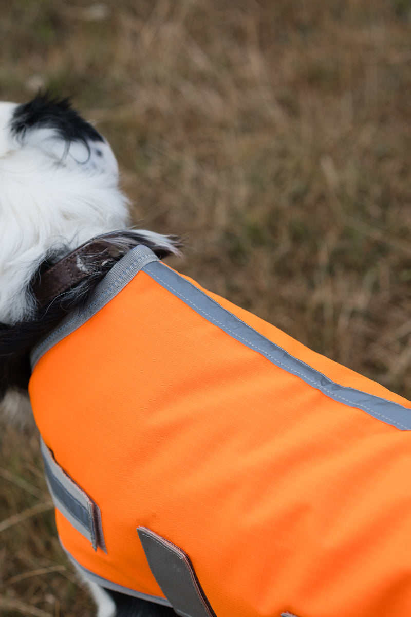 Classic Waterproof Dog Coat 150g - Orange High Viz