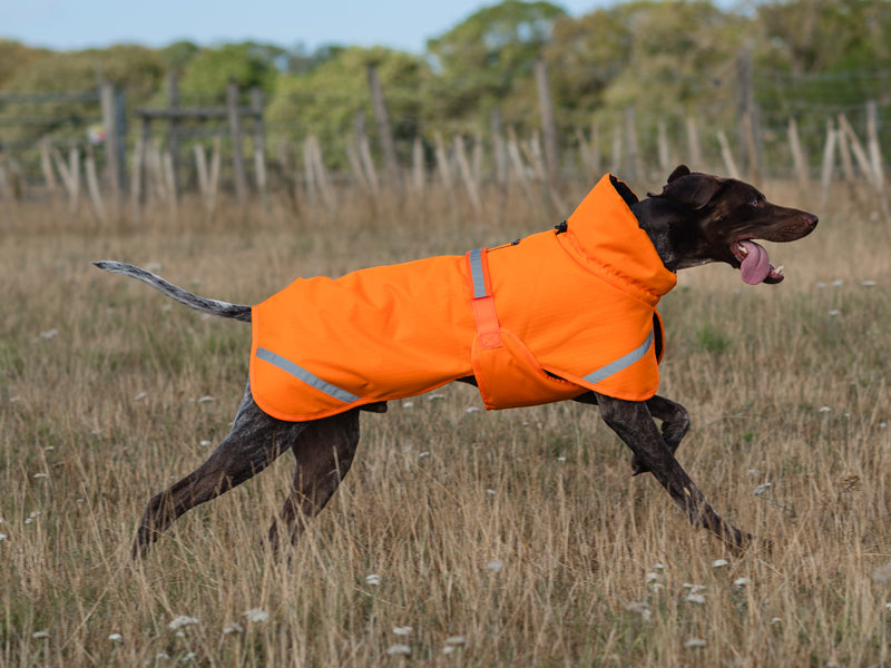 Luxe Waterproof Dog Coat 0g - Orange High Viz