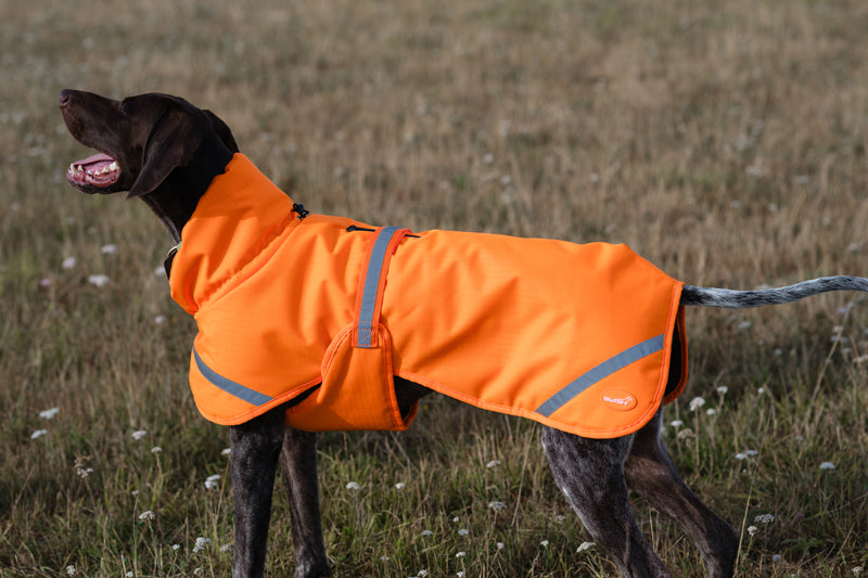 Luxe Waterproof Dog Coat 0g - Orange High Viz