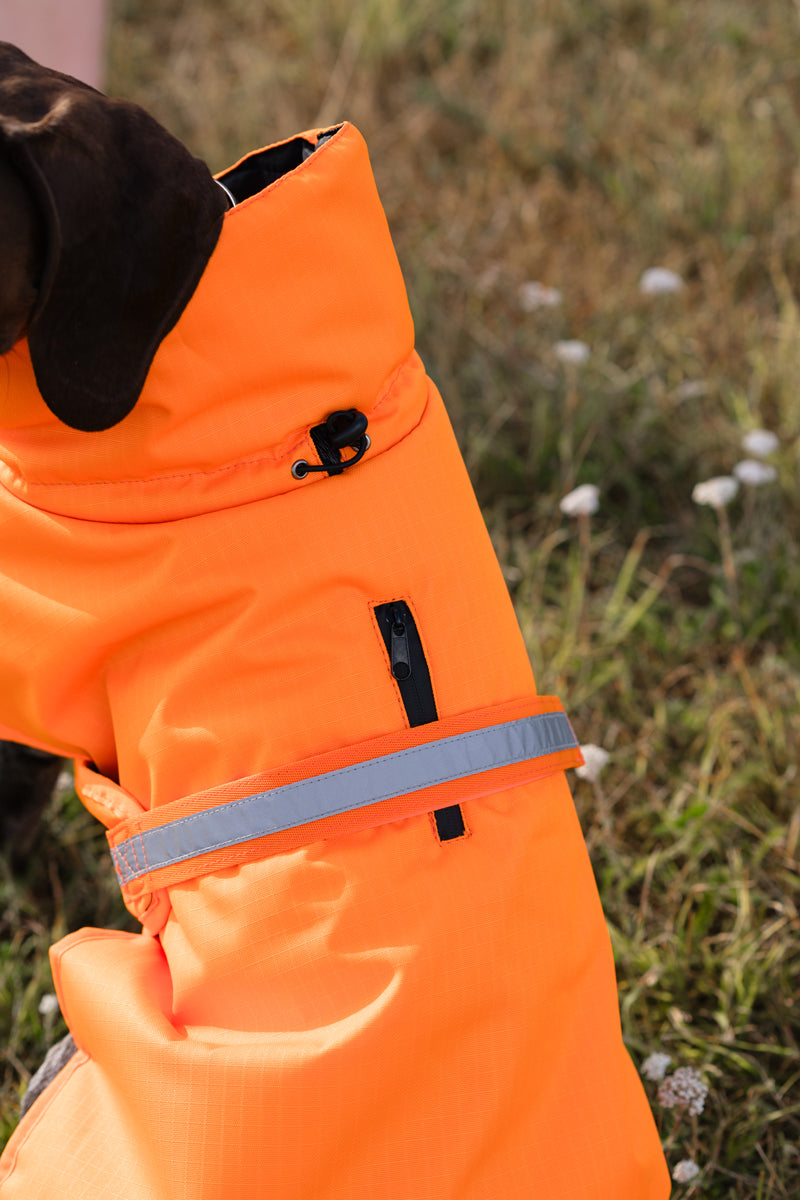 Luxe Waterproof Dog Coat 0g - Orange High Viz