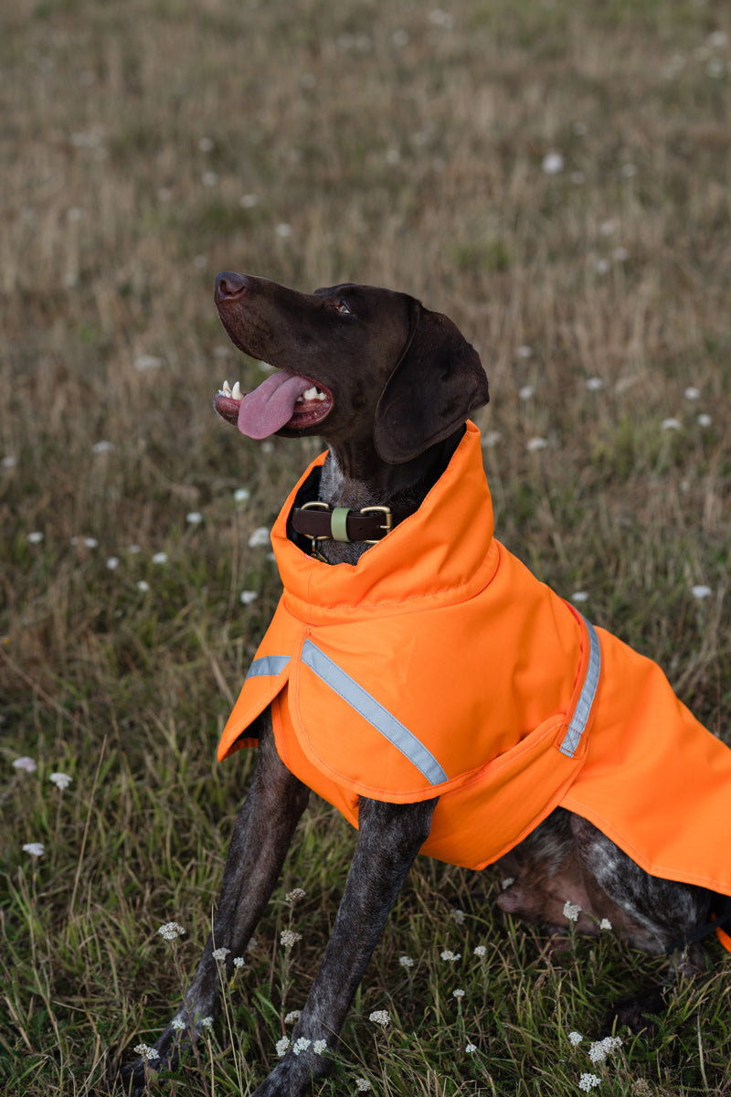 Luxe Waterproof Dog Coat 0g - Orange High Viz