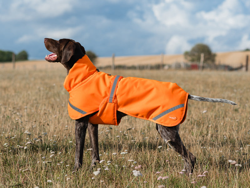 Luxe Waterproof Dog Coat 0g - Orange High Viz